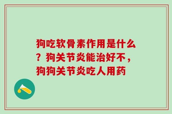 狗吃软骨素作用是什么？狗关节炎能治好不，狗狗关节炎吃人用药