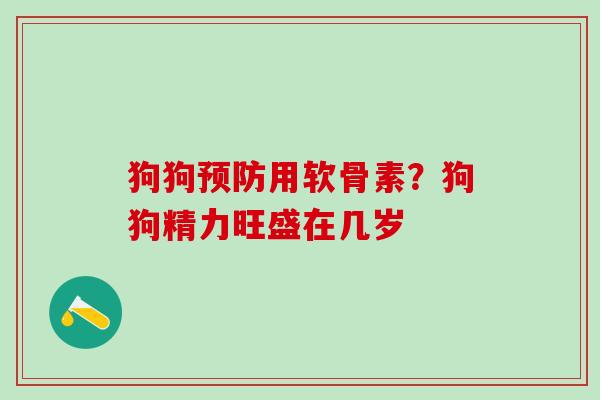 狗狗预防用软骨素？狗狗精力旺盛在几岁