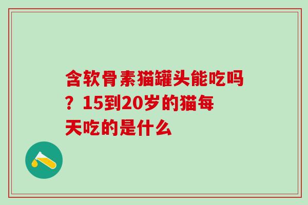 含软骨素猫罐头能吃吗？15到20岁的猫每天吃的是什么