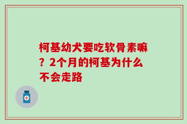 柯基幼犬要吃软骨素嘛？2个月的柯基为什么不会走路