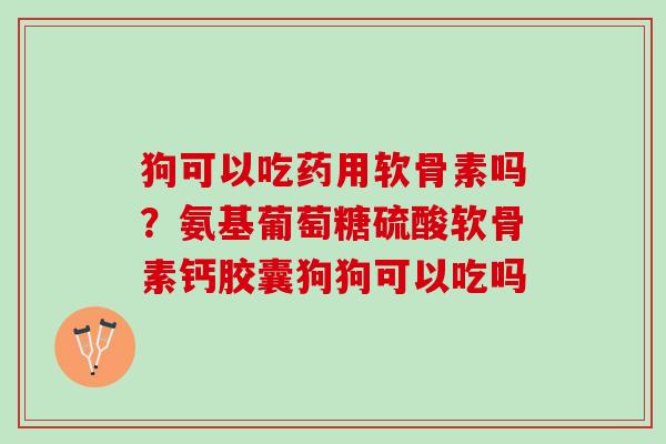 狗可以吃药用软骨素吗？氨基葡萄糖硫酸软骨素钙胶囊狗狗可以吃吗
