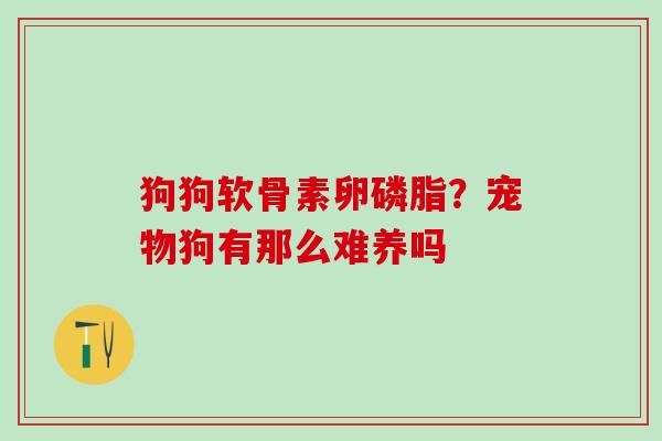 狗狗软骨素卵磷脂？宠物狗有那么难养吗