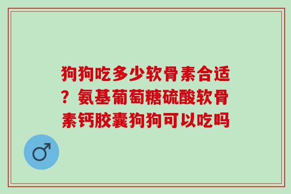 狗狗吃多少软骨素合适？氨基葡萄糖硫酸软骨素钙胶囊狗狗可以吃吗