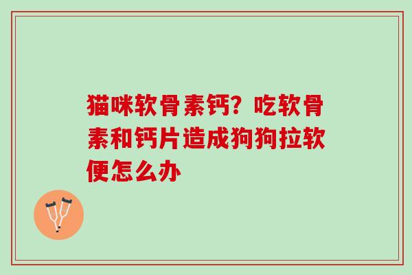 猫咪软骨素钙?吃软骨素和钙片造成狗狗拉软便怎么办 猫咪软骨素钙?吃软骨素和钙片造成狗狗拉软便怎么办