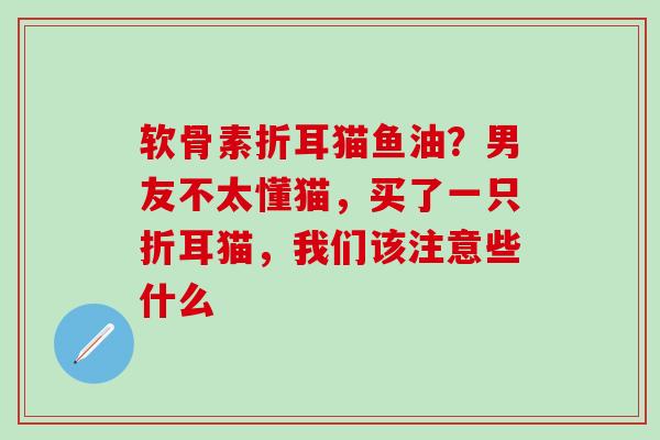 软骨素折耳猫鱼油？男友不太懂猫，买了一只折耳猫，我们该注意些什么