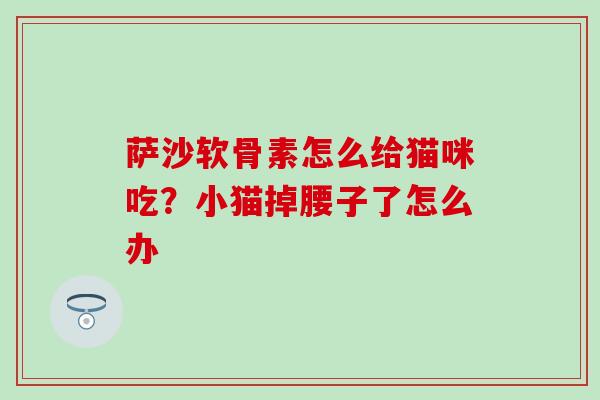 萨沙软骨素怎么给猫咪吃？小猫掉腰子了怎么办