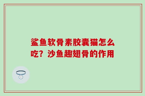 鲨鱼软骨素胶囊猫怎么吃？沙鱼趣翅骨的作用