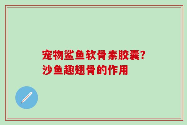 宠物鲨鱼软骨素胶囊？沙鱼趣翅骨的作用