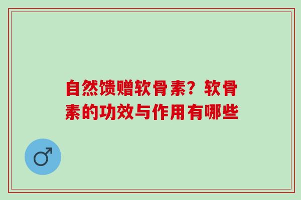 自然馈赠软骨素？软骨素的功效与作用有哪些