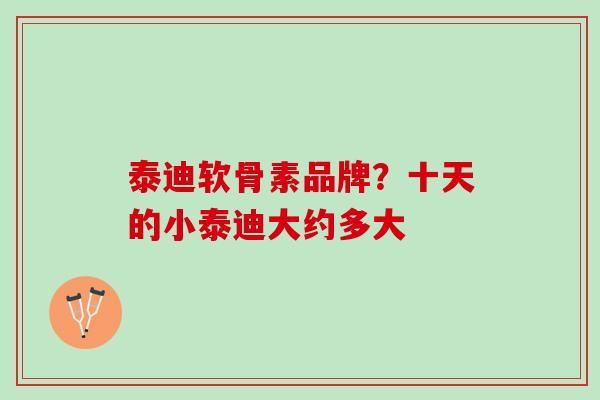 泰迪软骨素品牌？十天的小泰迪大约多大