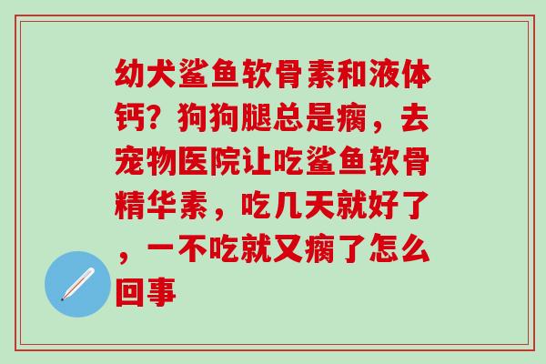 幼犬鲨鱼软骨素和液体钙？狗狗腿总是瘸，去宠物医院让吃鲨鱼软骨精华素，吃几天就好了，一不吃就又瘸了怎么回事