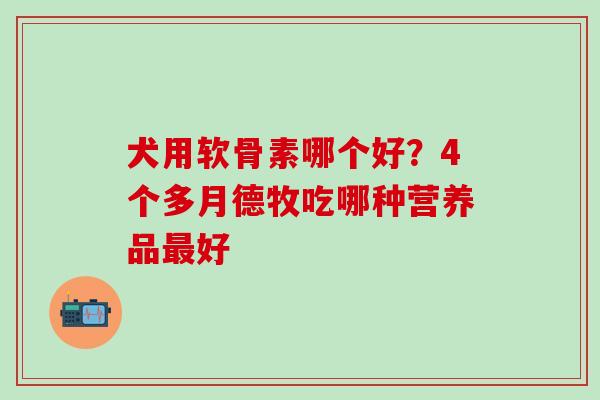 犬用软骨素哪个好？4个多月德牧吃哪种营养品最好