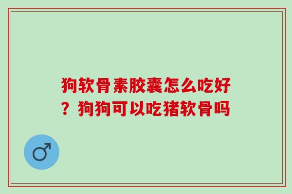 狗软骨素胶囊怎么吃好？狗狗可以吃猪软骨吗