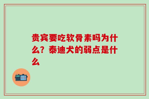 贵宾要吃软骨素吗为什么？泰迪犬的弱点是什么