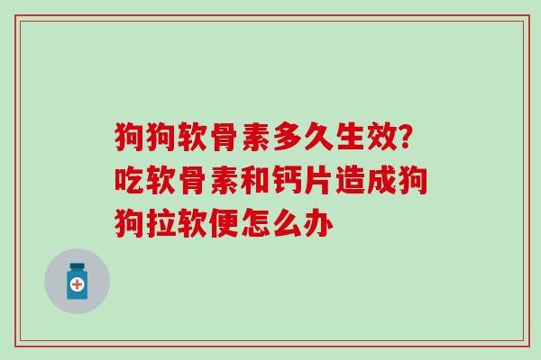 狗狗软骨素多久生效？吃软骨素和钙片造成狗狗拉软便怎么办