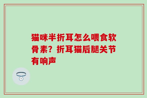 猫咪半折耳怎么喂食软骨素？折耳猫后腿关节有响声