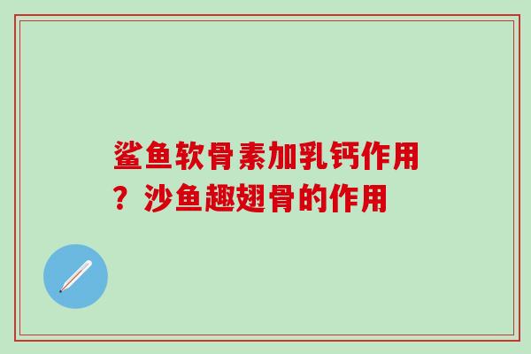 鲨鱼软骨素加乳钙作用？沙鱼趣翅骨的作用