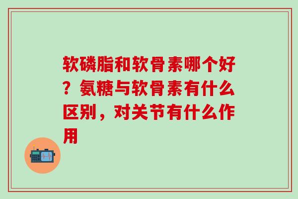 软磷脂和软骨素哪个好？氨糖与软骨素有什么区别，对关节有什么作用