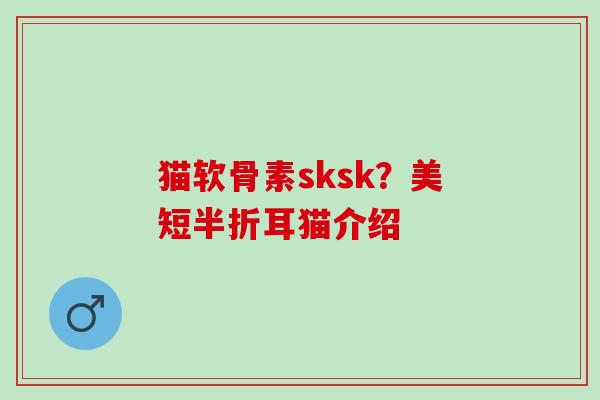 猫软骨素sksk？美短半折耳猫介绍