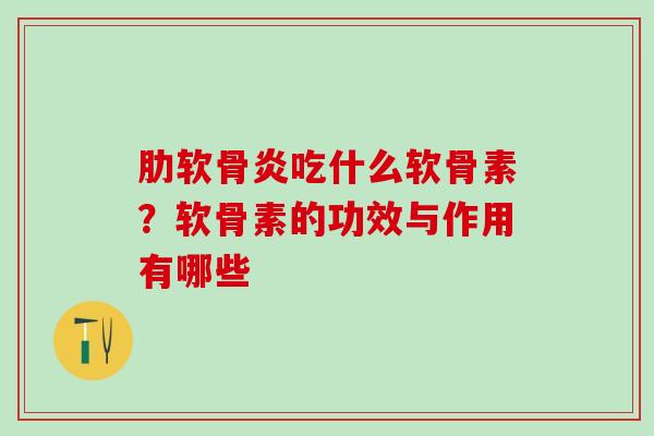肋软骨炎吃什么软骨素？软骨素的功效与作用有哪些