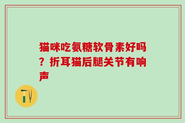 猫咪吃氨糖软骨素好吗？折耳猫后腿关节有响声