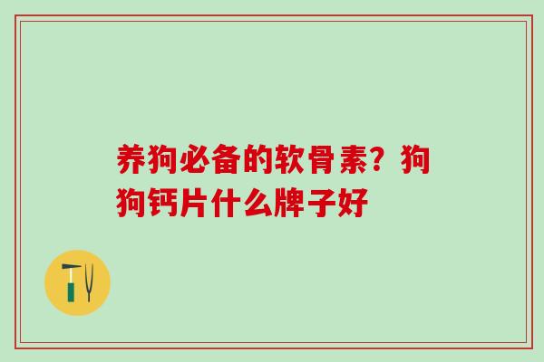 养狗必备的软骨素？狗狗钙片什么牌子好