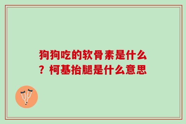 狗狗吃的软骨素是什么？柯基抬腿是什么意思