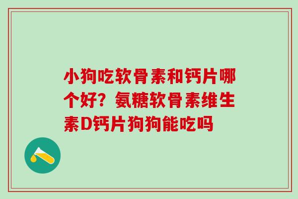 小狗吃软骨素和钙片哪个好？氨糖软骨素维生素D钙片狗狗能吃吗