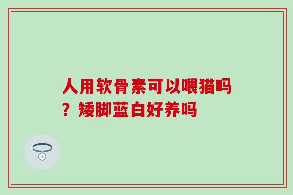 人用软骨素可以喂猫吗？矮脚蓝白好养吗