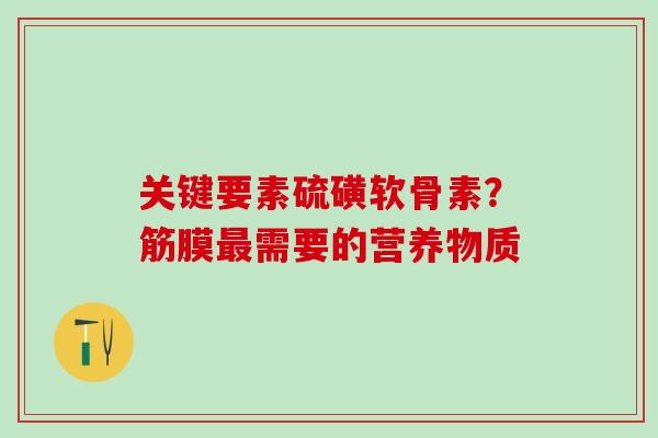 关键要素硫磺软骨素?筋膜需要的营养物质 关键要素硫磺软骨素?筋膜需要的营养物质