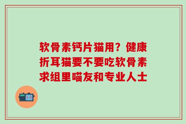 软骨素钙片猫用？健康折耳猫要不要吃软骨素求组里喵友和专业人士
