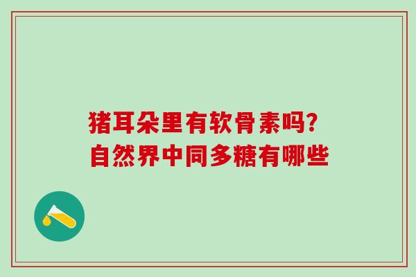 猪耳朵里有软骨素吗？自然界中同多糖有哪些