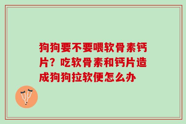 狗狗要不要喂软骨素钙片？吃软骨素和钙片造成狗狗拉软便怎么办