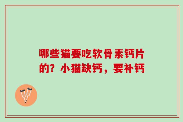 哪些猫要吃软骨素钙片的？小猫缺钙，要补钙