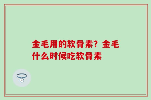 金毛用的软骨素？金毛什么时候吃软骨素