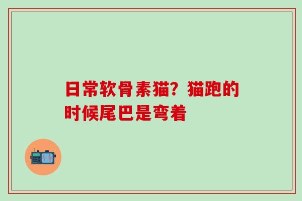 日常软骨素猫？猫跑的时候尾巴是弯着