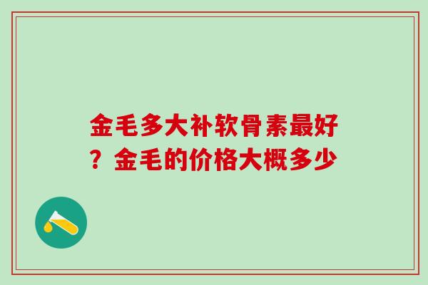 金毛多大补软骨素好？金毛的价格大概多少