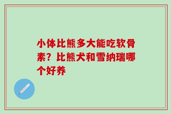 小体比熊多大能吃软骨素？比熊犬和雪纳瑞哪个好养
