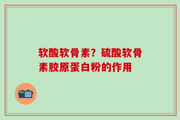 软酸软骨素？硫酸软骨素胶原蛋白粉的作用