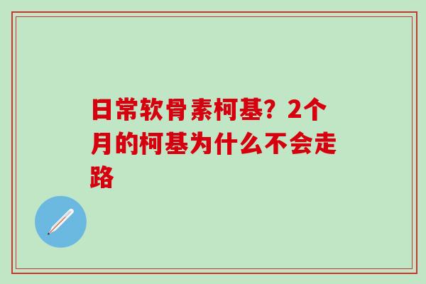 日常软骨素柯基？2个月的柯基为什么不会走路