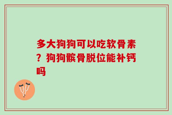 多大狗狗可以吃软骨素？狗狗髌骨脱位能补钙吗