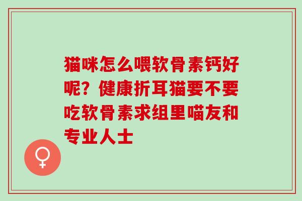 猫咪怎么喂软骨素钙好呢？健康折耳猫要不要吃软骨素求组里喵友和专业人士