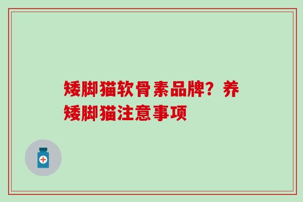 矮脚猫软骨素品牌？养矮脚猫注意事项