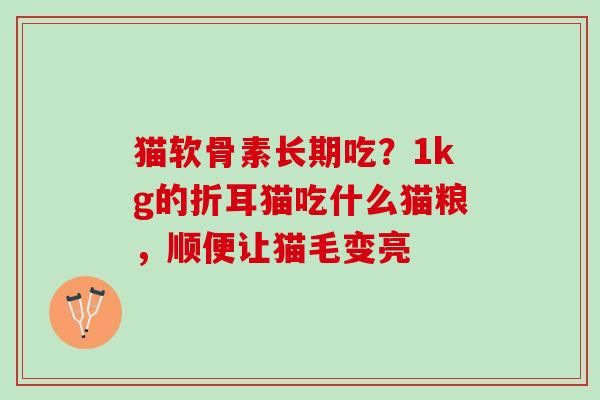 猫软骨素长期吃？1kg的折耳猫吃什么猫粮，顺便让猫毛变亮