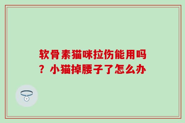 软骨素猫咪拉伤能用吗?小猫掉腰子了怎么办 软骨素猫咪拉伤能用吗?小猫掉腰子了怎么办
