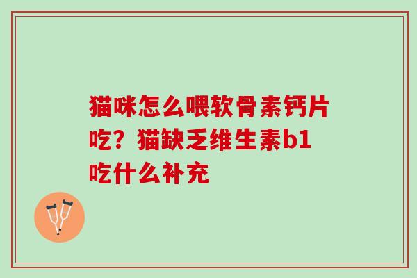猫咪怎么喂软骨素钙片吃？猫缺乏维生素b1吃什么补充
