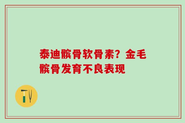 泰迪髌骨软骨素?金毛髌骨发育不良表现 泰迪髌骨软骨素?金毛髌骨发育不良表现