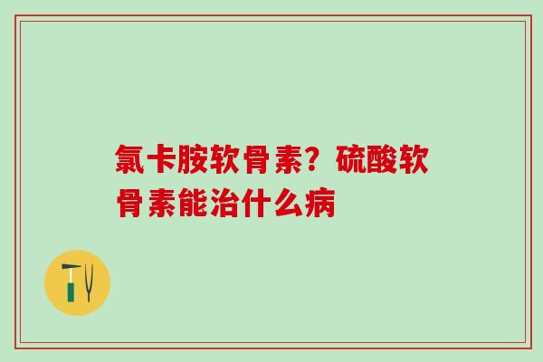 氯卡胺软骨素？硫酸软骨素能治什么病
