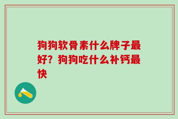 狗狗软骨素什么牌子最好？狗狗吃什么补钙最快