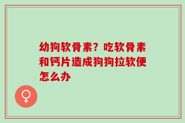 幼狗软骨素？吃软骨素和钙片造成狗狗拉软便怎么办